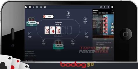 bodog88 login|Bodog App .